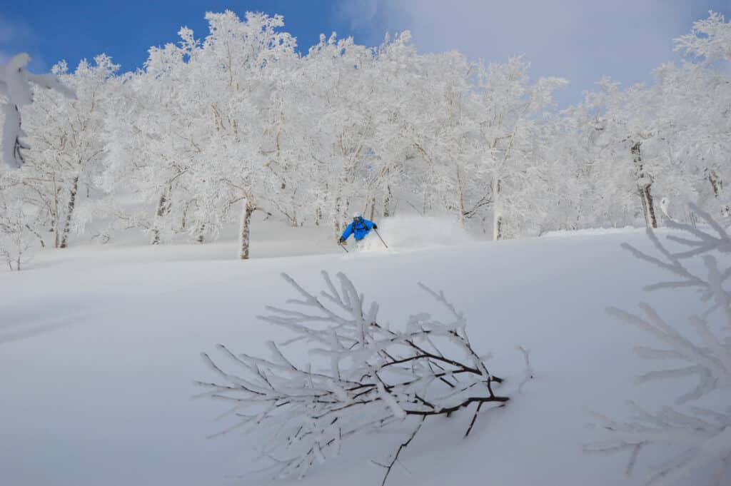 Freeride reis naar Niseko, Japan