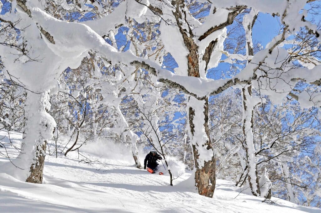 Freetour Japan Hokkaido