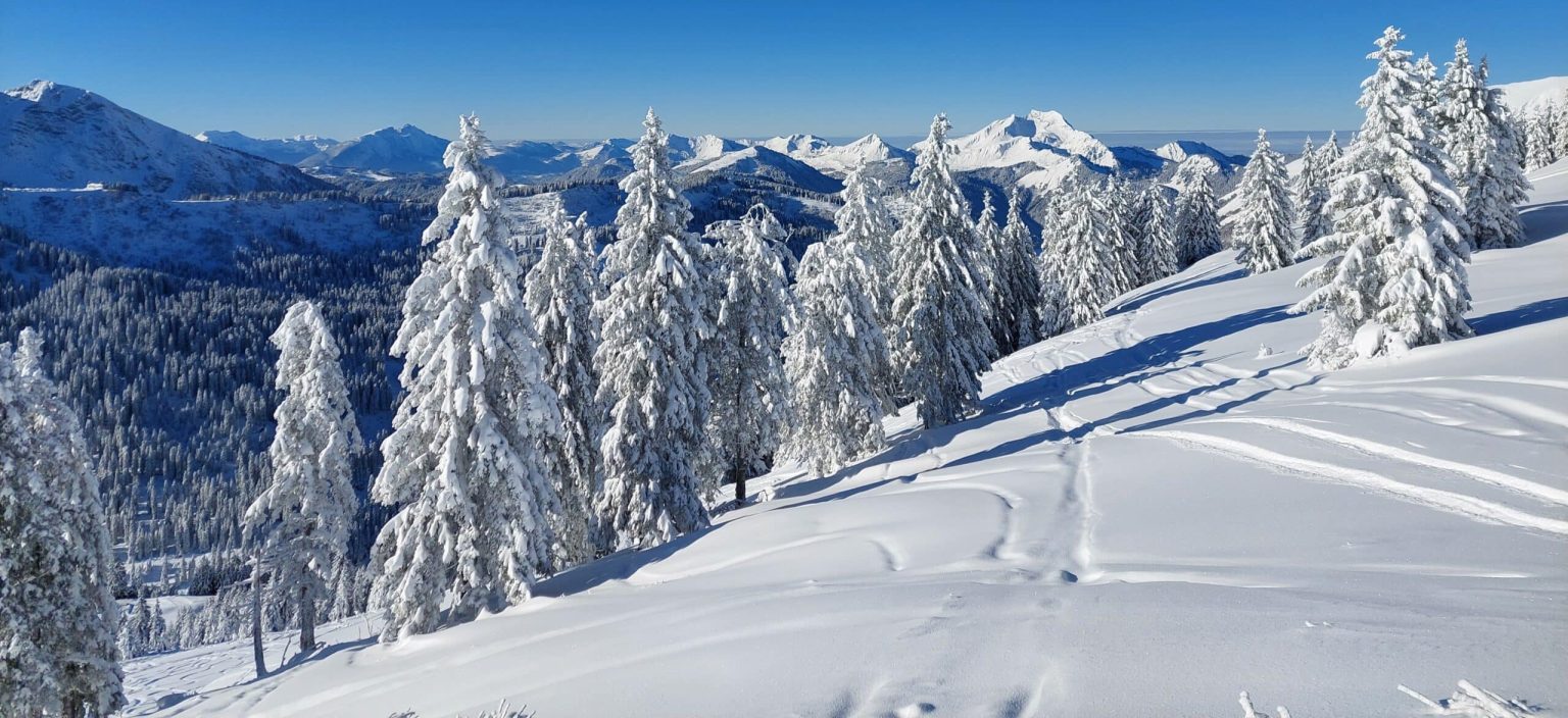 Tourski en catski reis naar Kirgizie