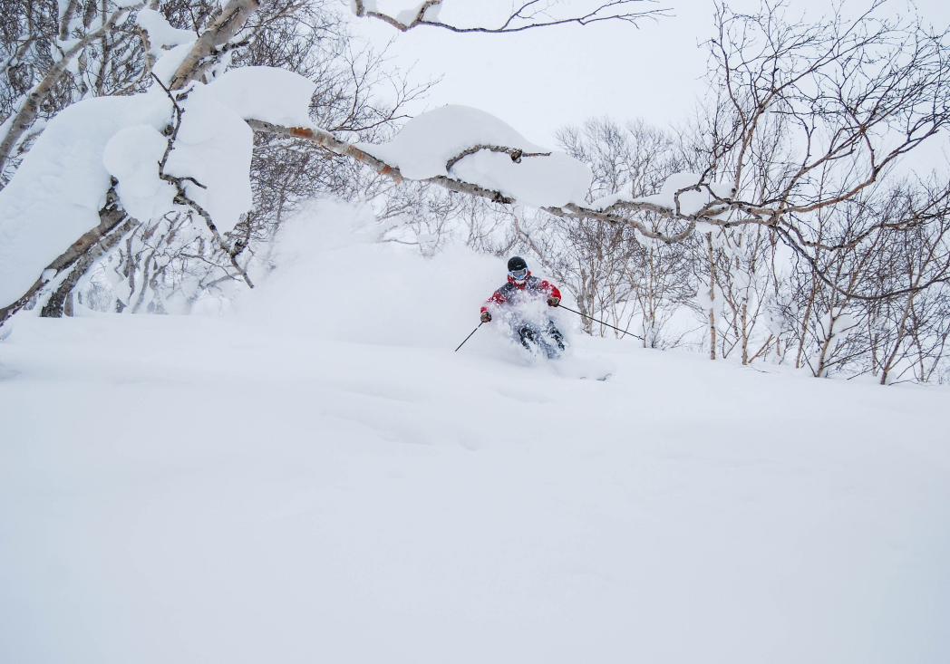 Diepe poedersneeuw afdaling in Japan