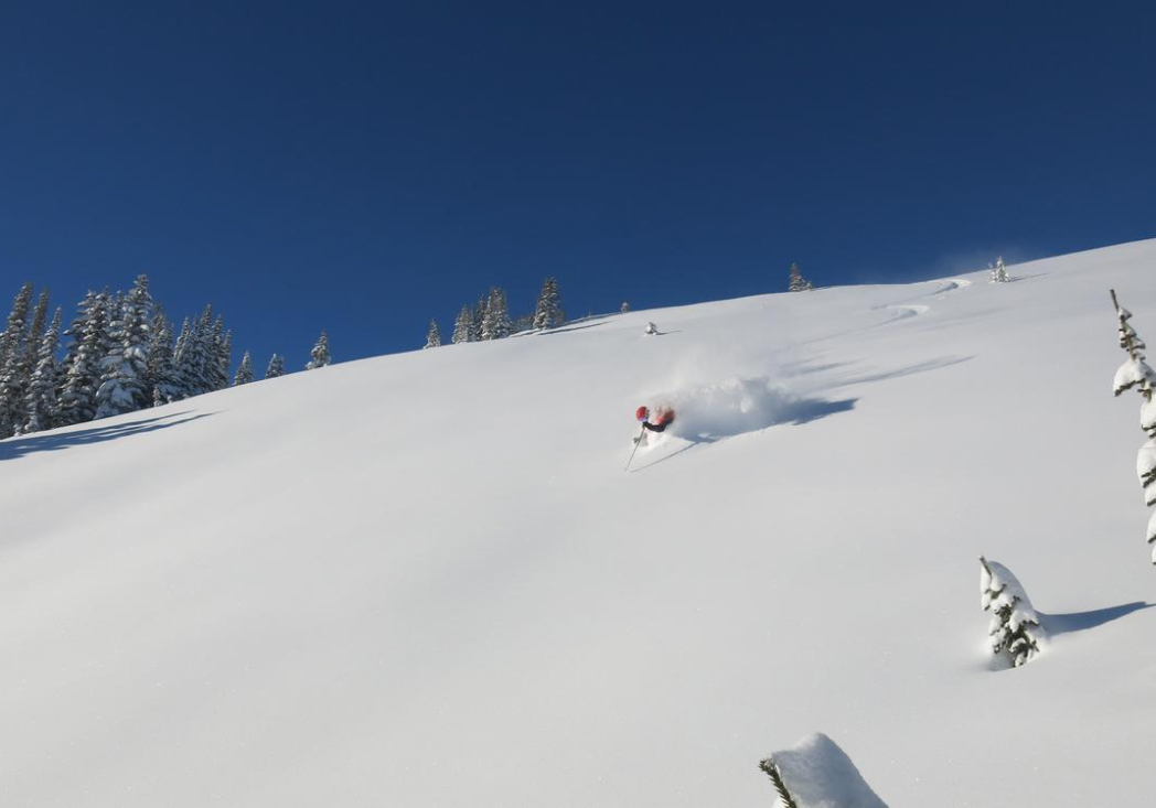 Freeride skien in Canada met diepe poedersneeuw